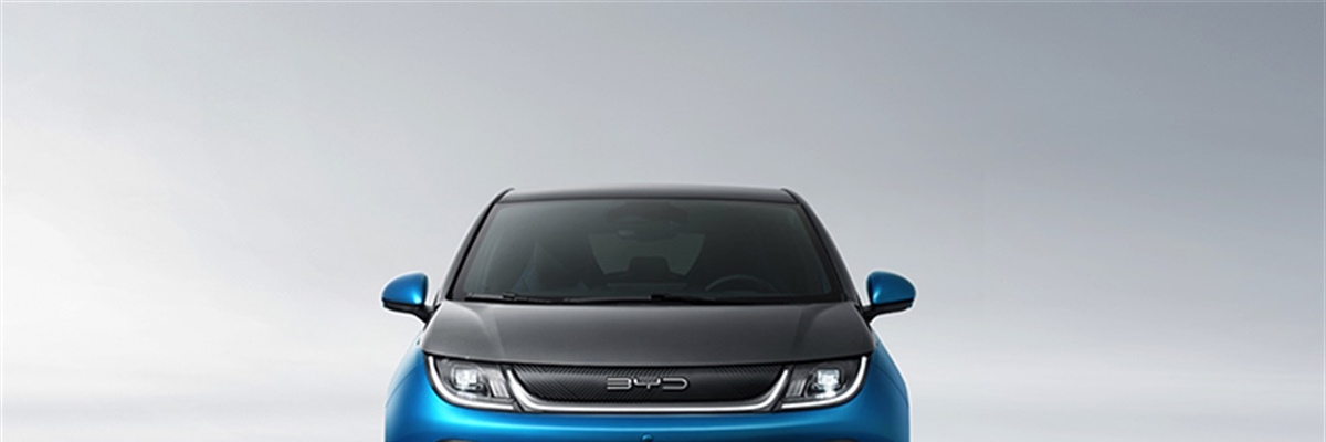 BYD DOLPHIN